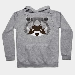 Raccoon Hoodie